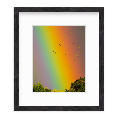Over the Rainbow by Vai Meng Chan