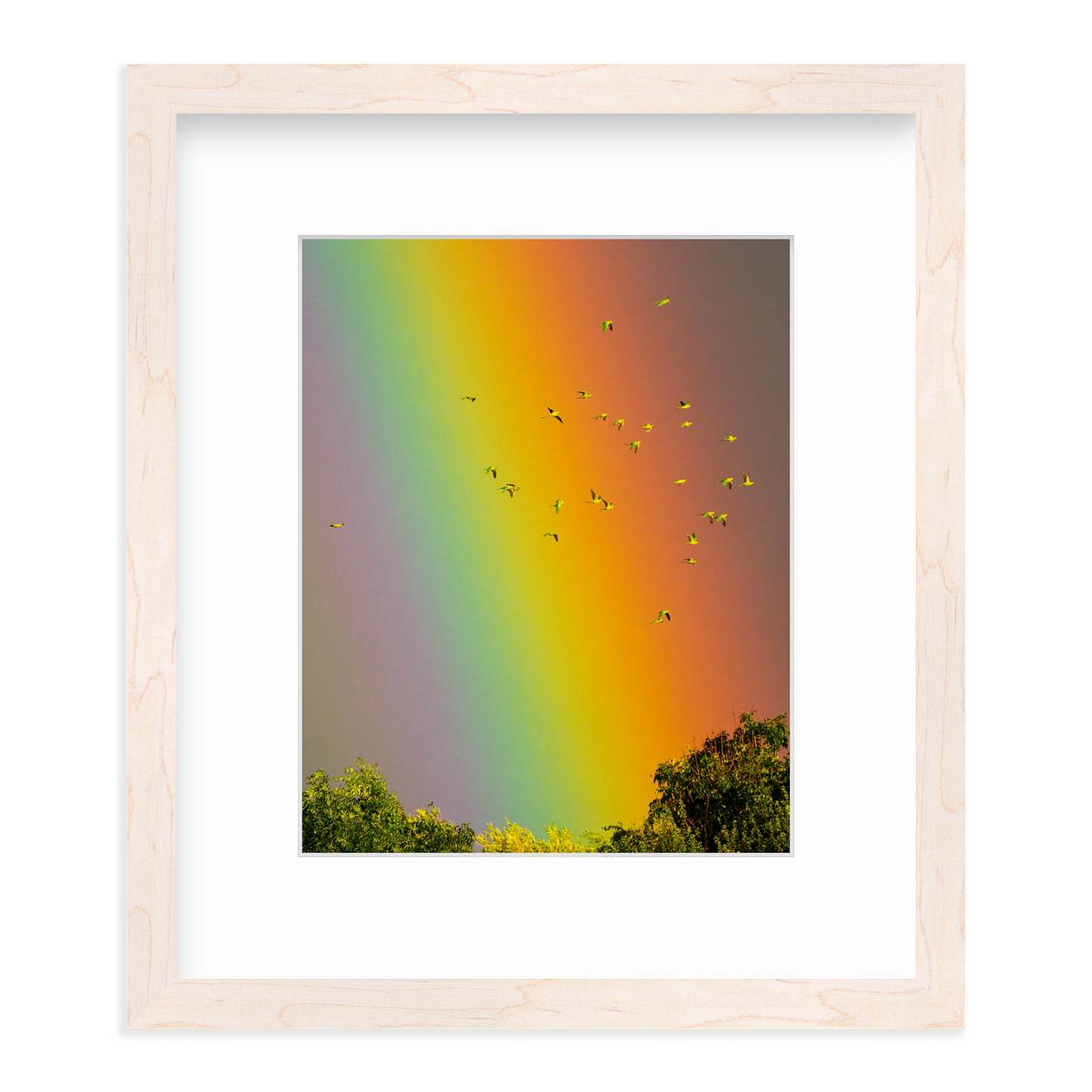 Over the Rainbow by Vai Meng Chan
