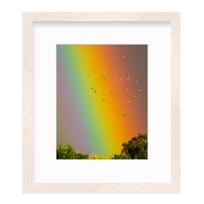 Over the Rainbow by Vai Meng Chan