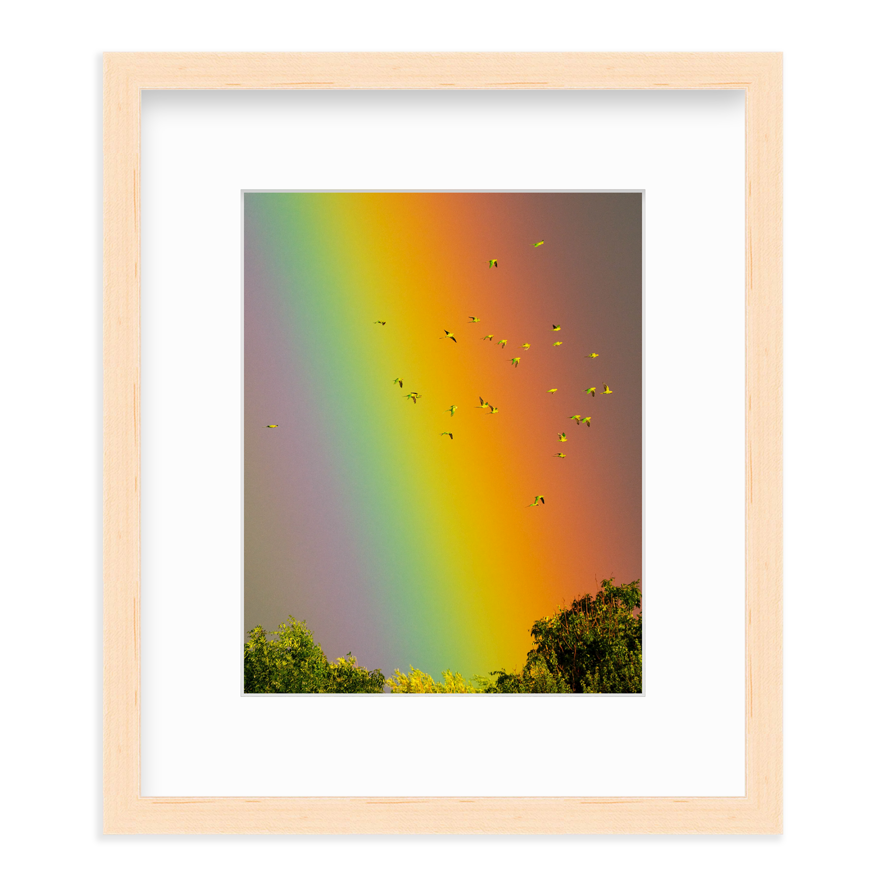 Over the Rainbow by Vai Meng Chan