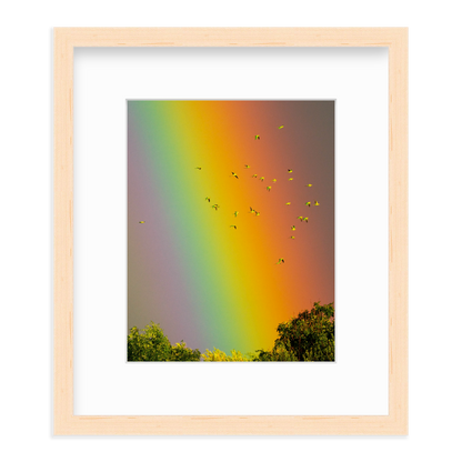 Over the Rainbow by Vai Meng Chan