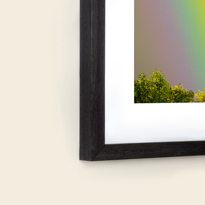 Over the Rainbow by Vai Meng Chan
