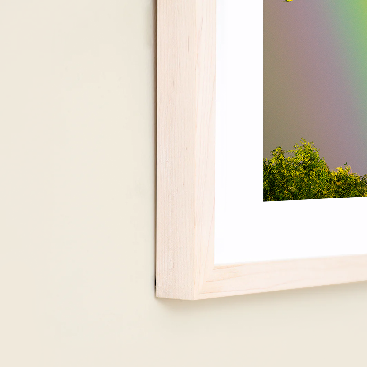 Over the Rainbow by Vai Meng Chan