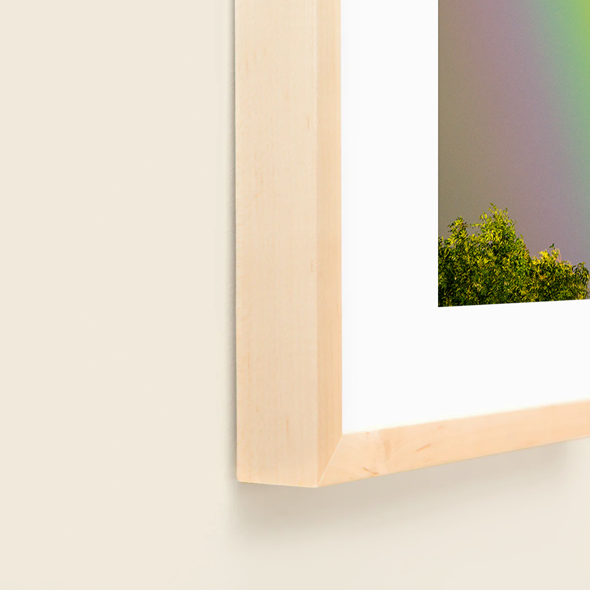 Over the Rainbow by Vai Meng Chan