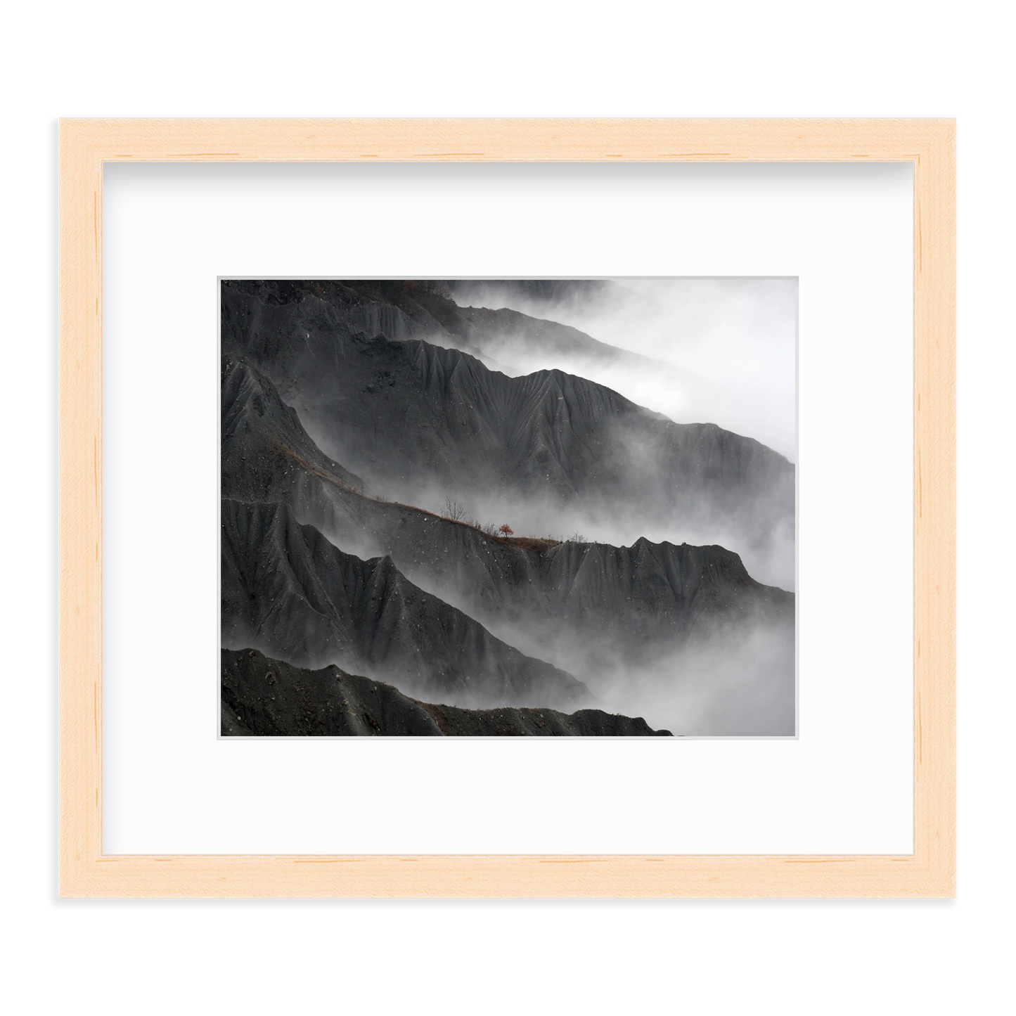 Resilient Tree by Gianluca Gianferrari