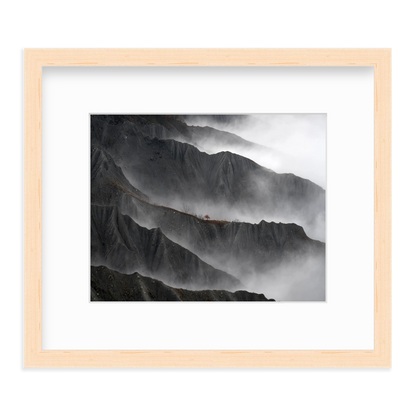 Resilient Tree by Gianluca Gianferrari