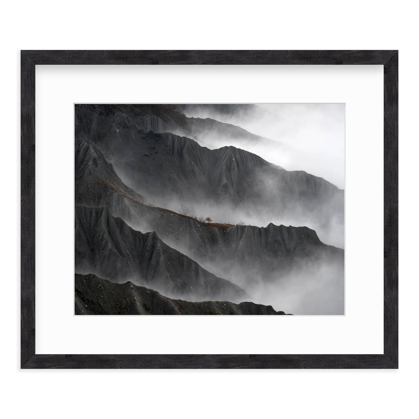 Resilient Tree by Gianluca Gianferrari