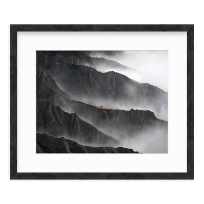 Resilient Tree by Gianluca Gianferrari