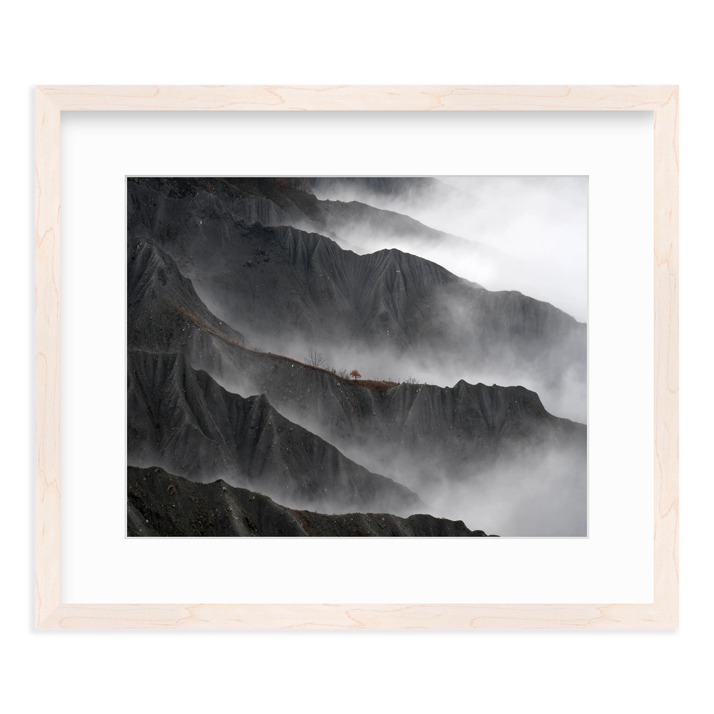 Resilient Tree by Gianluca Gianferrari