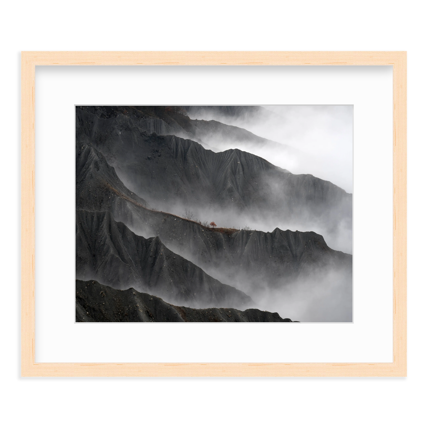 Resilient Tree by Gianluca Gianferrari