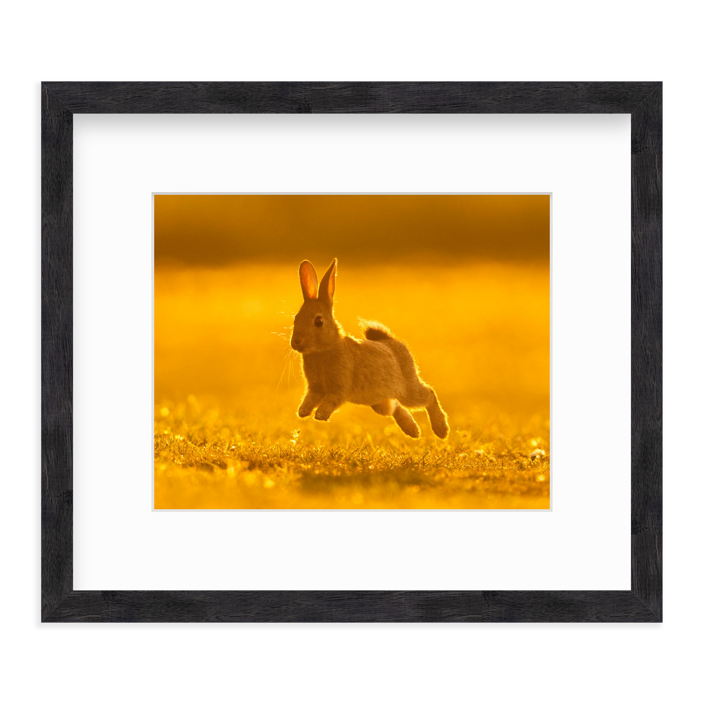 Run Rabbit Run! by Vai Meng Chan