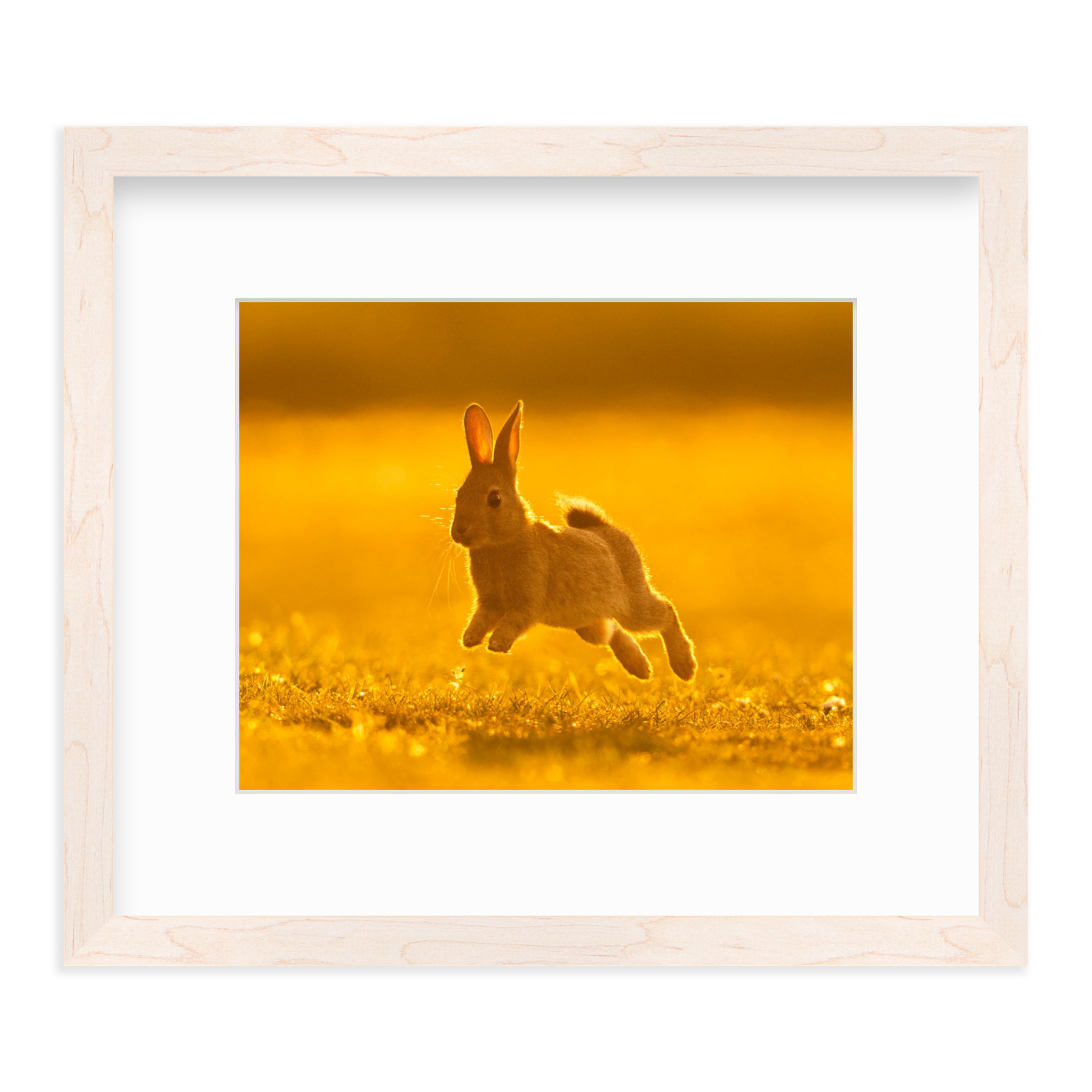 Run Rabbit Run! by Vai Meng Chan