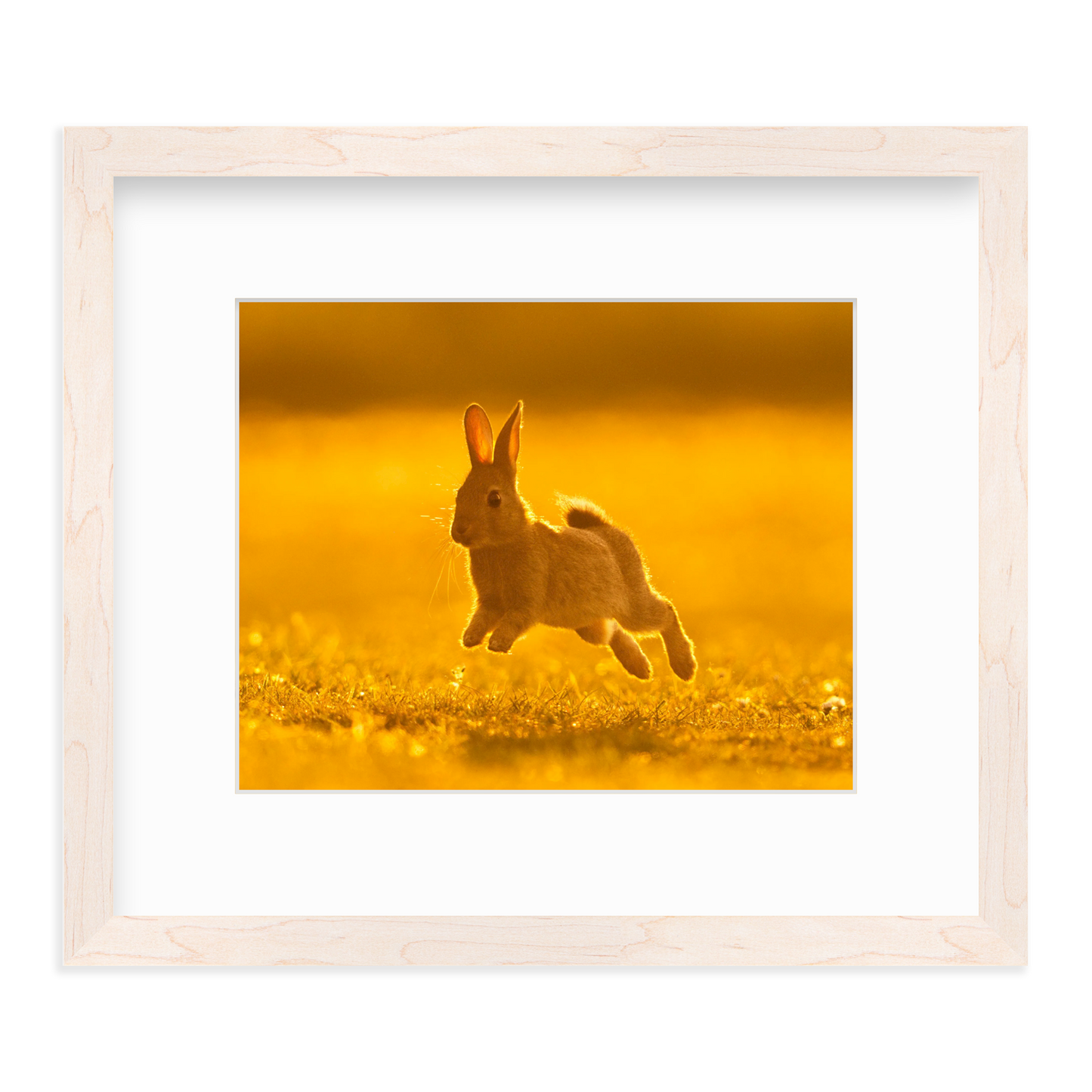 Run Rabbit Run! by Vai Meng Chan