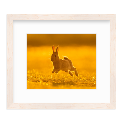 Run Rabbit Run! by Vai Meng Chan