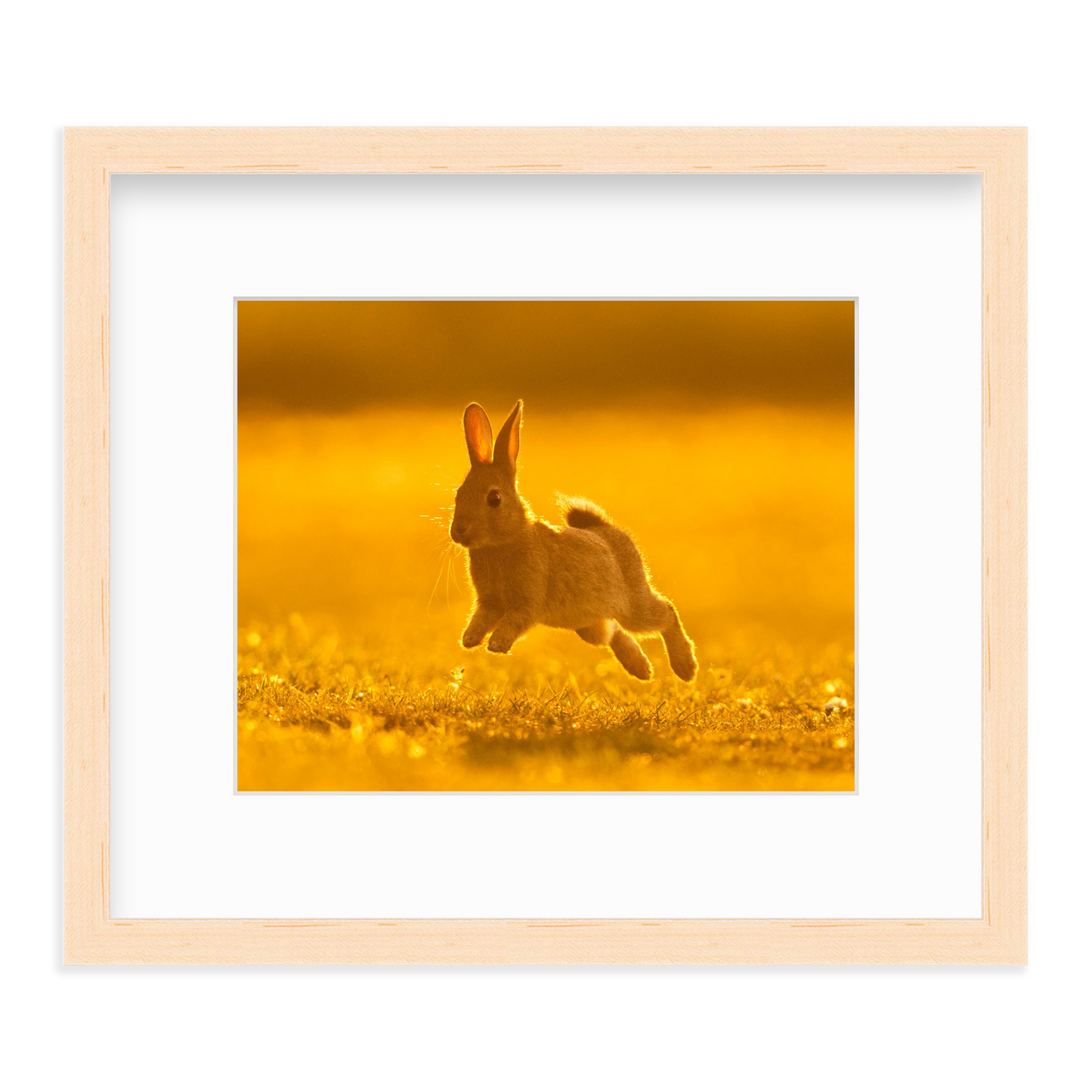 Run Rabbit Run! by Vai Meng Chan