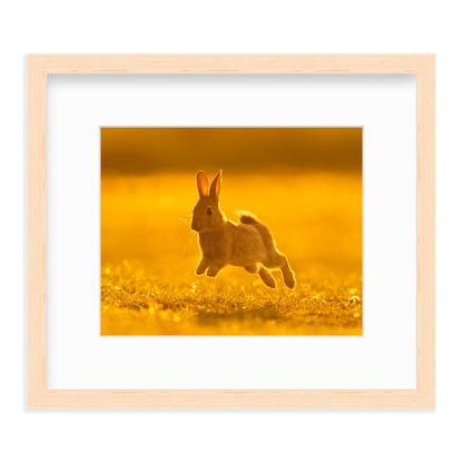 Run Rabbit Run! by Vai Meng Chan