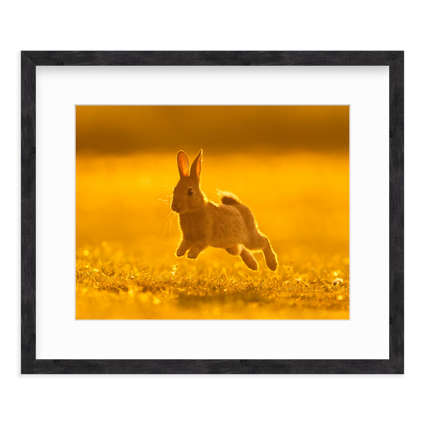 Run Rabbit Run! by Vai Meng Chan