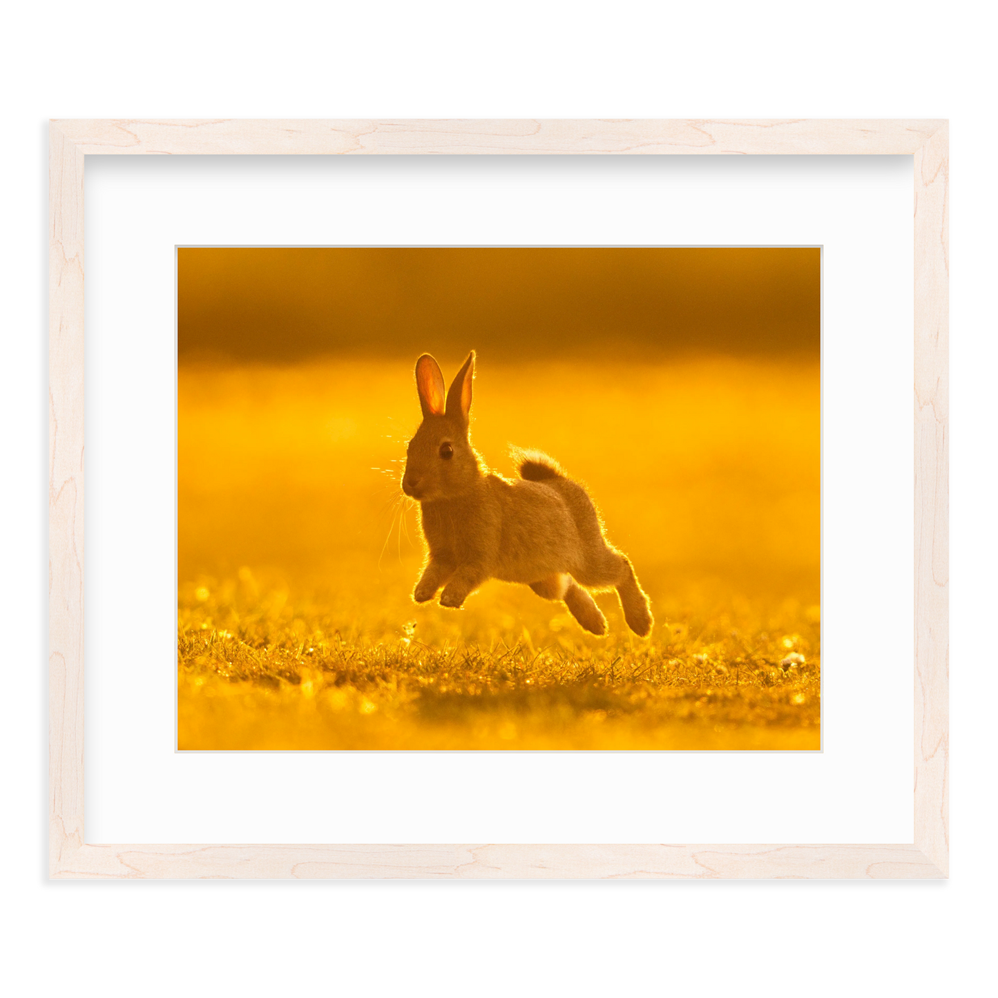 Run Rabbit Run! by Vai Meng Chan