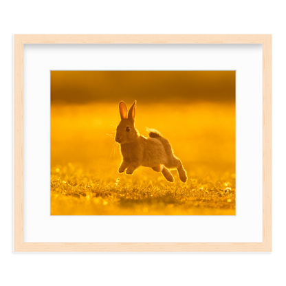 Run Rabbit Run! by Vai Meng Chan
