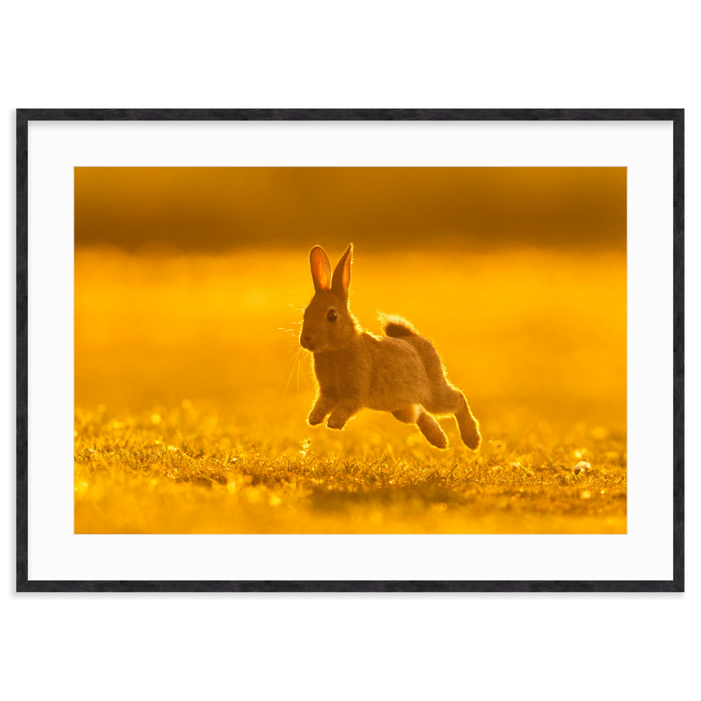 Run Rabbit Run! by Vai Meng Chan