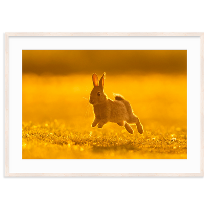 Run Rabbit Run! by Vai Meng Chan