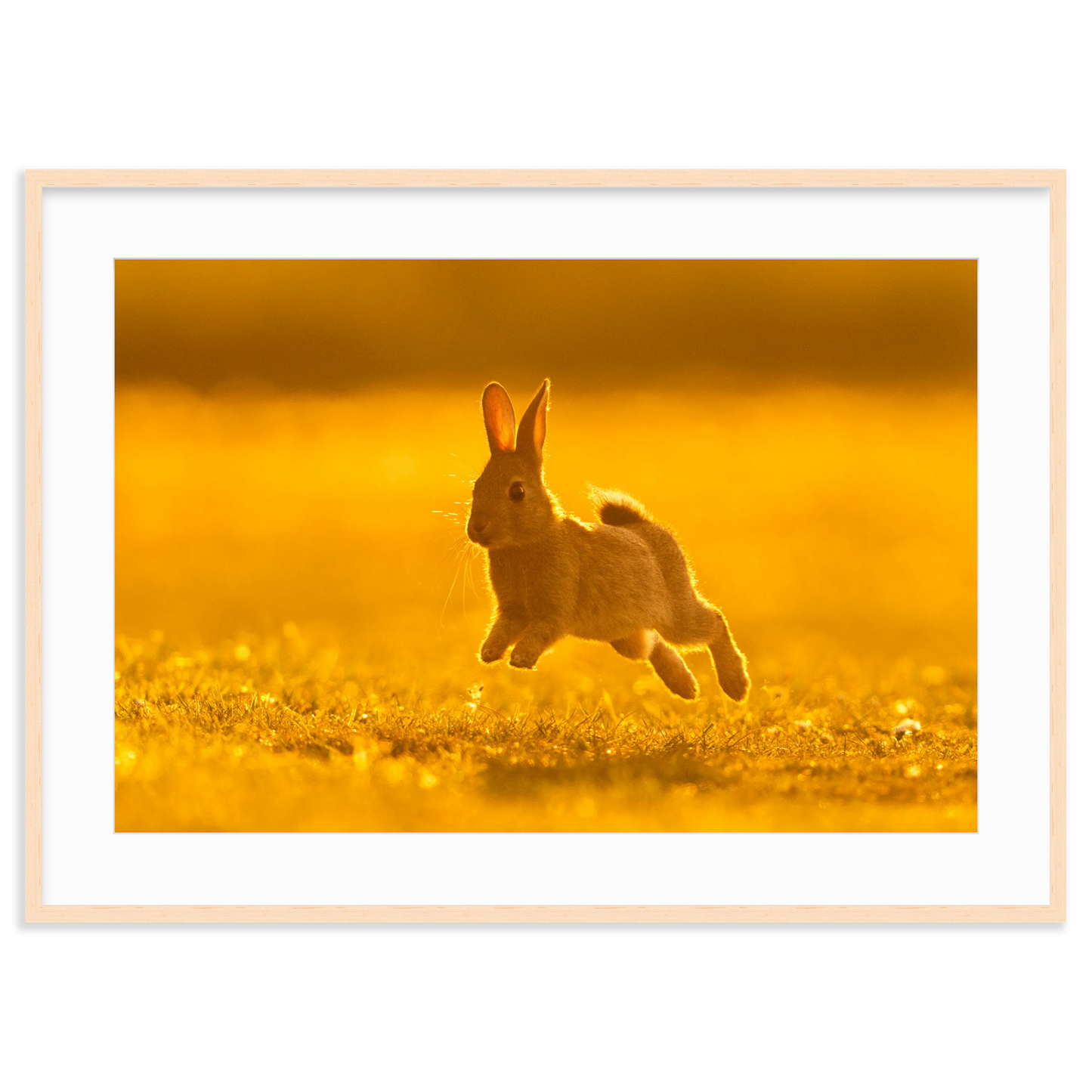 Run Rabbit Run! by Vai Meng Chan
