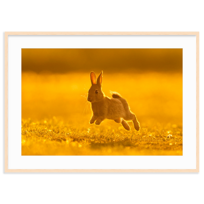 Run Rabbit Run! by Vai Meng Chan