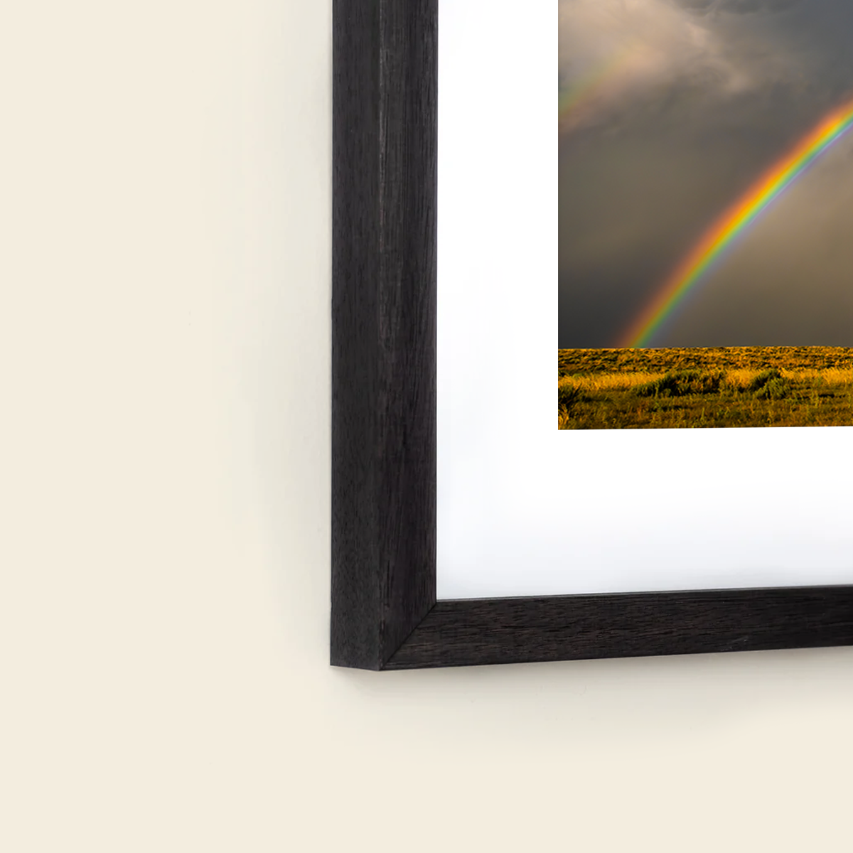 Rainbow Cataclysm by Jeremy Janus