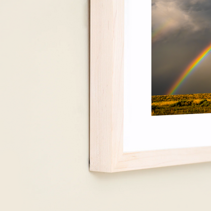 Rainbow Cataclysm by Jeremy Janus