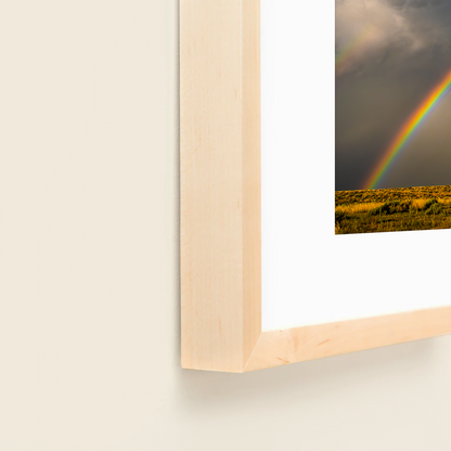 Rainbow Cataclysm by Jeremy Janus