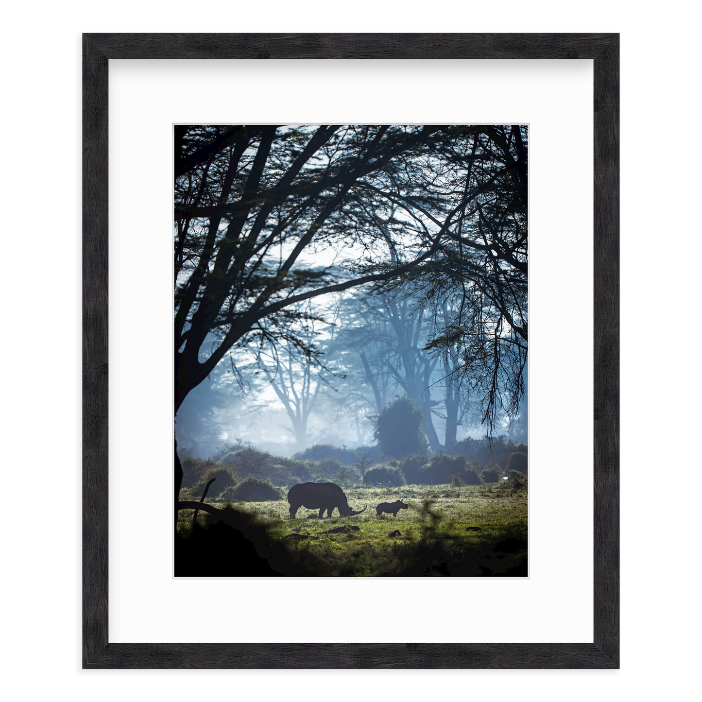 Silhouettes in the Mist by Merche Llobera