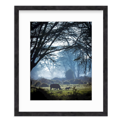 Silhouettes in the Mist by Merche Llobera