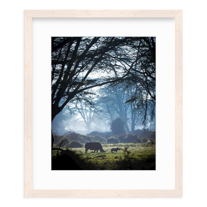 Silhouettes in the Mist by Merche Llobera