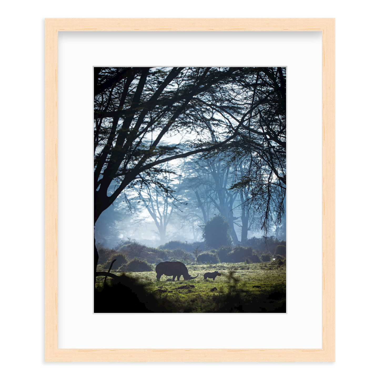 Silhouettes in the Mist by Merche Llobera