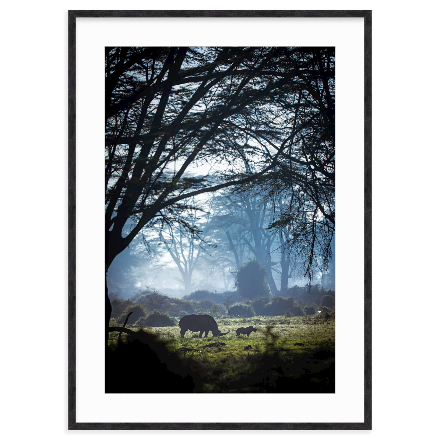 Silhouettes in the Mist by Merche Llobera