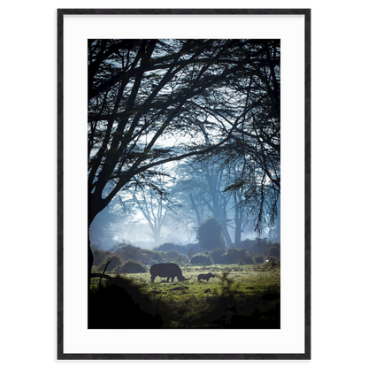 Silhouettes in the Mist by Merche Llobera