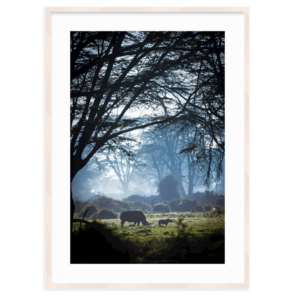 Silhouettes in the Mist by Merche Llobera