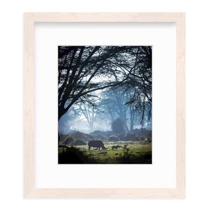 Silhouettes in the Mist by Merche Llobera