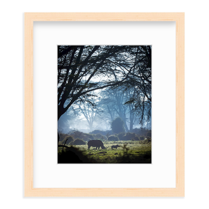 Silhouettes in the Mist by Merche Llobera
