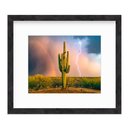 Sonoran Summer by Sean Parker