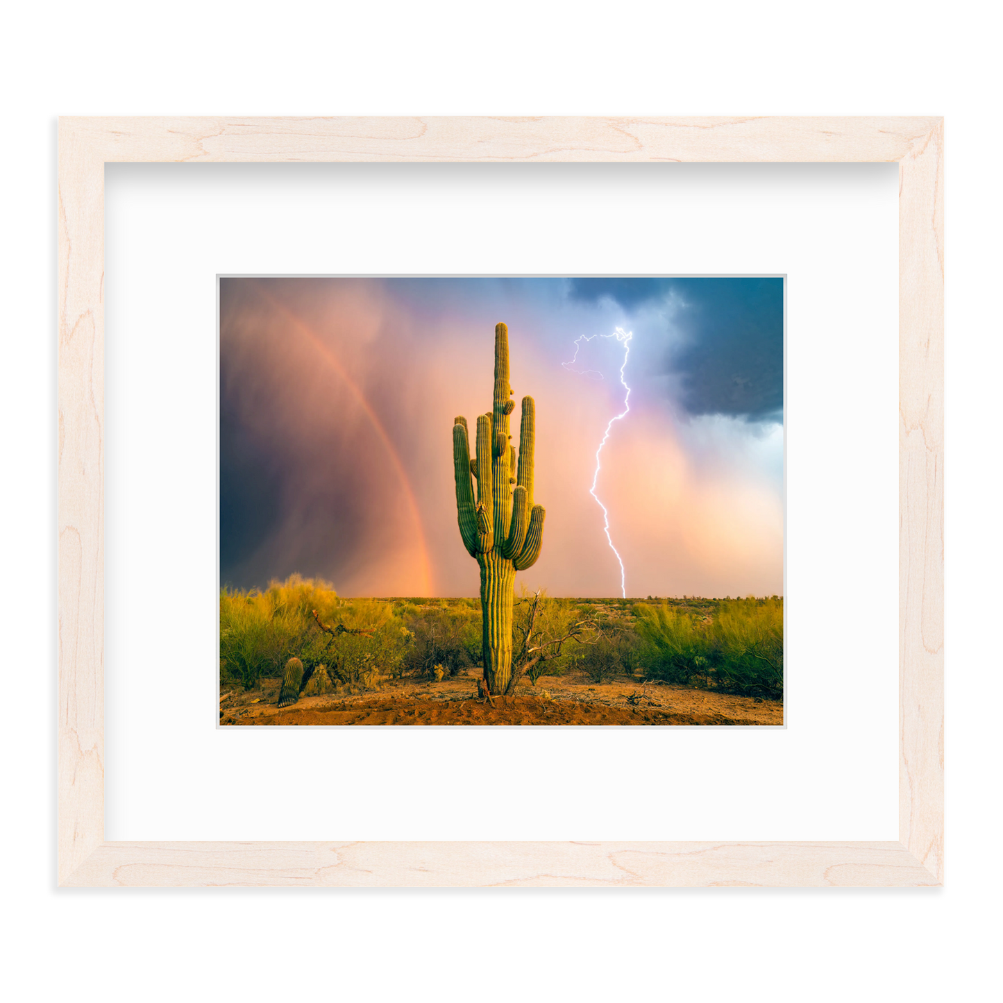 Sonoran Summer by Sean Parker