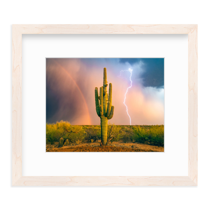 Sonoran Summer by Sean Parker