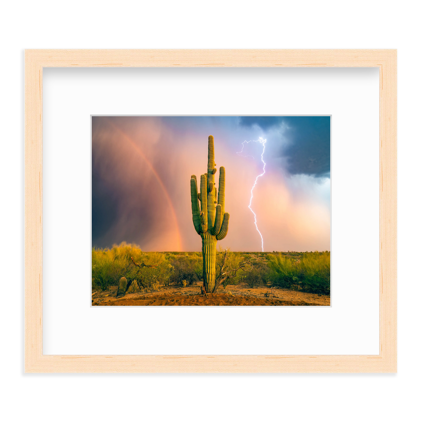 Sonoran Summer by Sean Parker