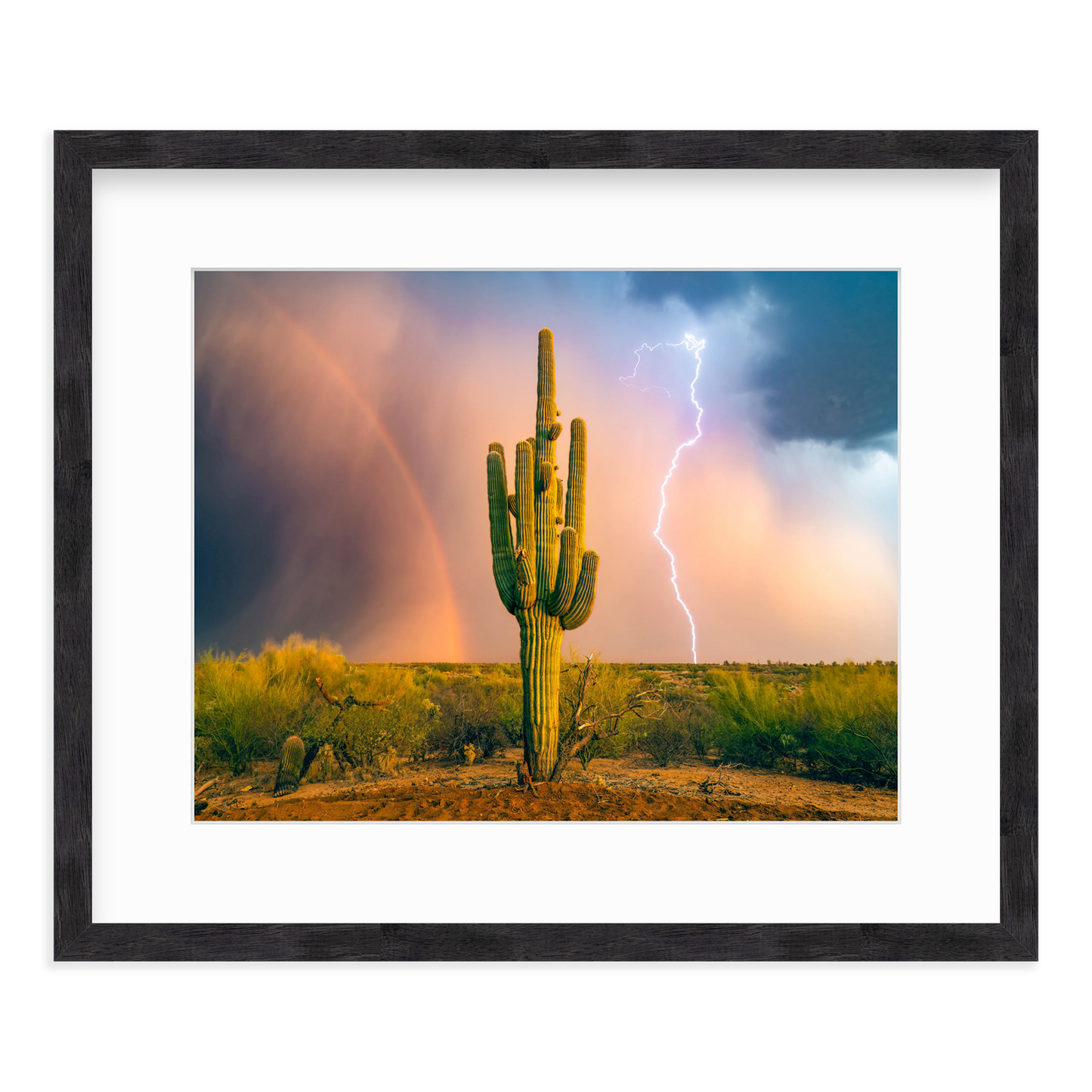Sonoran Summer by Sean Parker