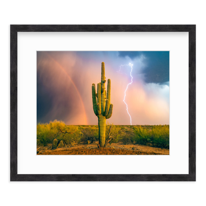 Sonoran Summer by Sean Parker