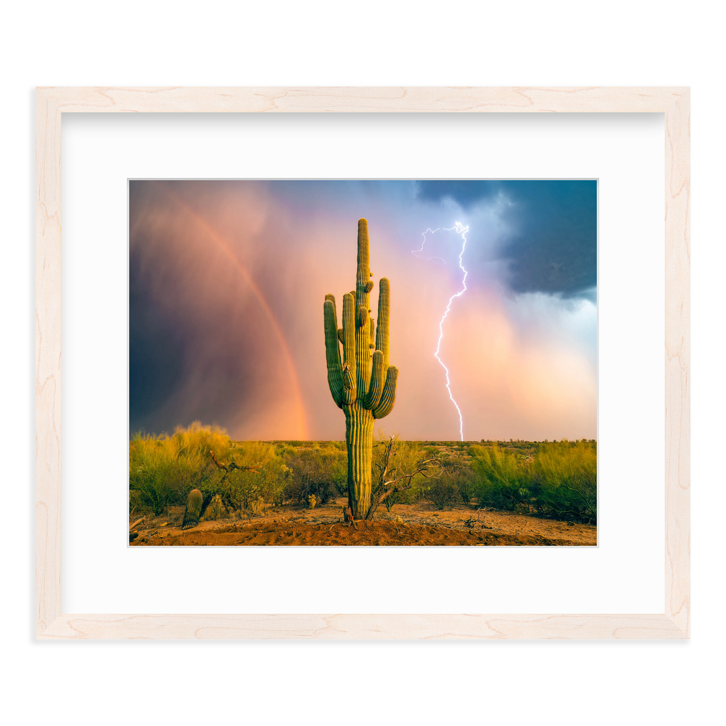 Sonoran Summer by Sean Parker