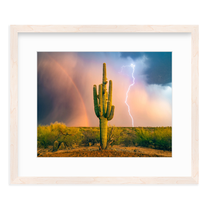 Sonoran Summer by Sean Parker