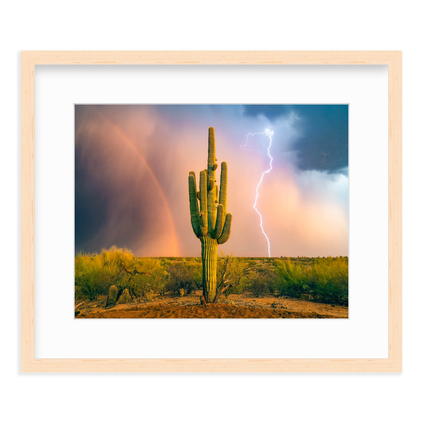 Sonoran Summer by Sean Parker