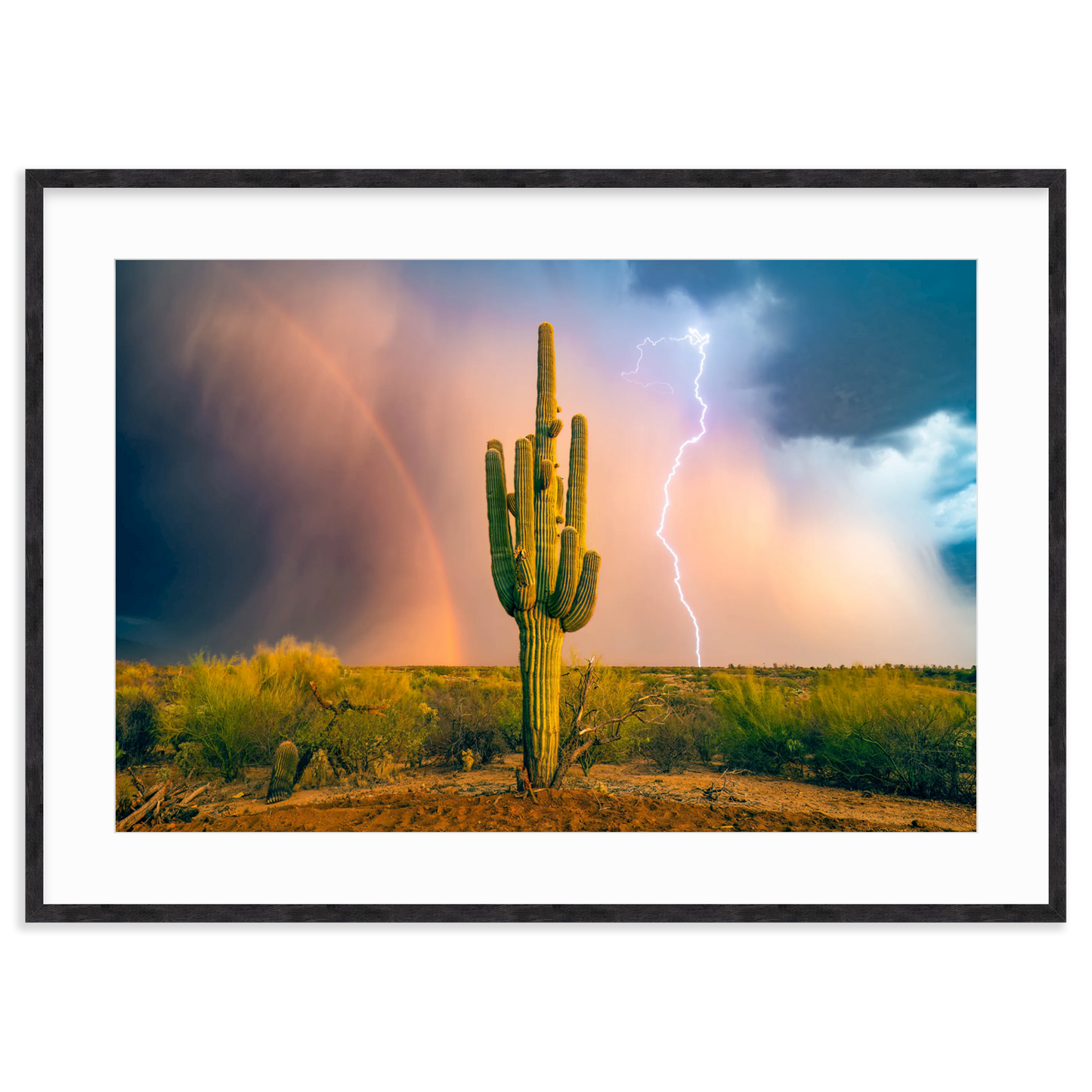 Sonoran Summer by Sean Parker