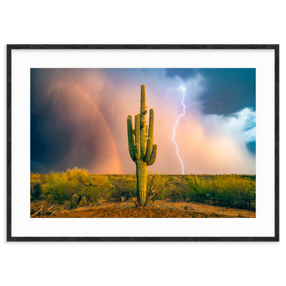 Sonoran Summer by Sean Parker